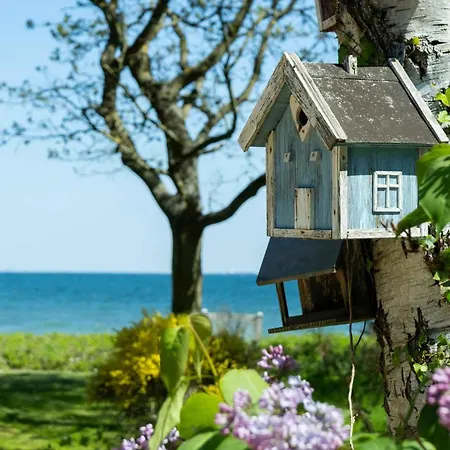 Togetherness Coziness Magical Great Belt View Holiday home Tranekaer