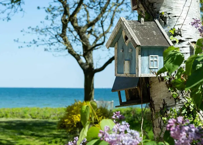 Togetherness Coziness Magical Great Belt View Nyaraló Tranekær