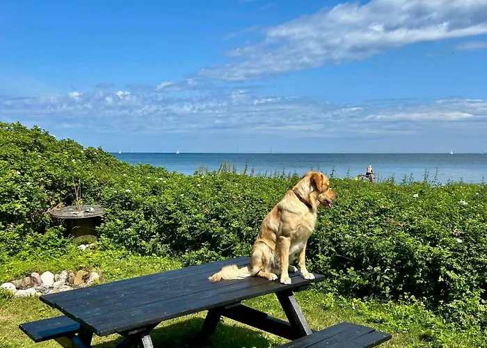 Togetherness Coziness Magical Great Belt View * Tranekær